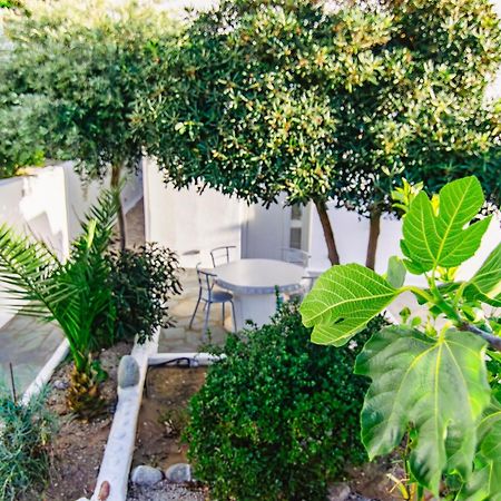 Zisis Pension Agios Stefanos  Exterior photo