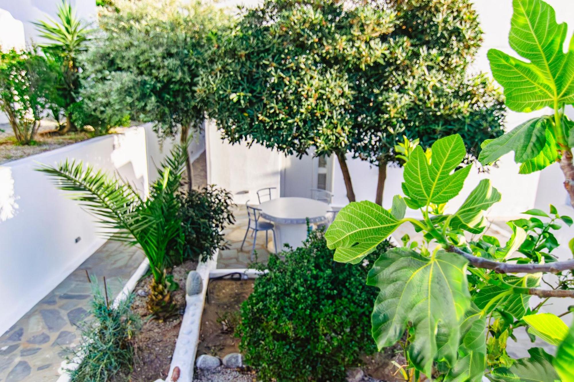 Zisis Pension Agios Stefanos  Exterior photo