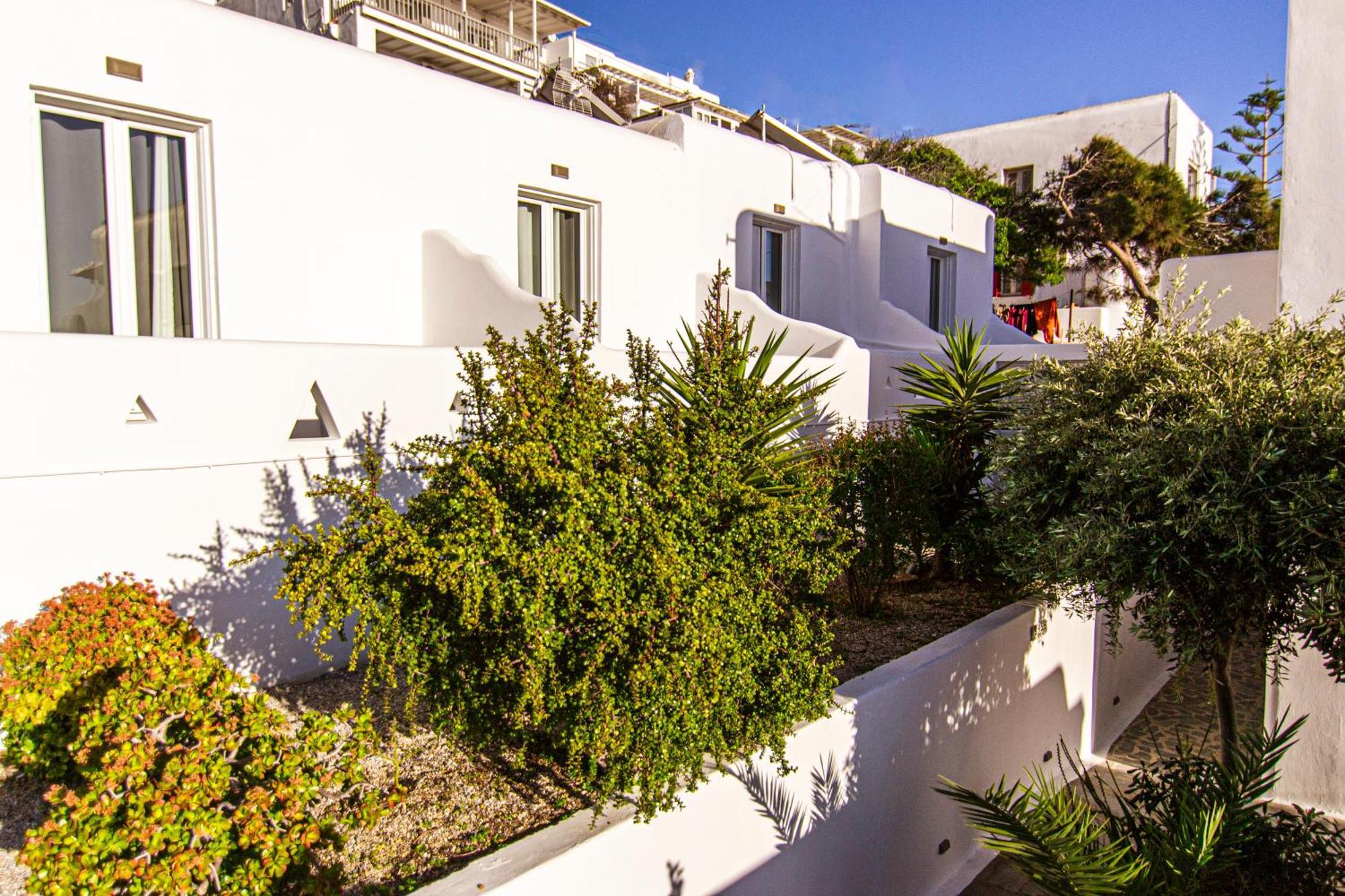 Zisis Pension Agios Stefanos  Exterior photo